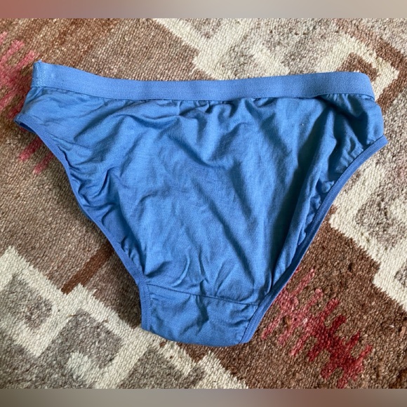 NWOT Woolx Roxie Merino Wool Bikini underwear, size small - Picture 3 of 3